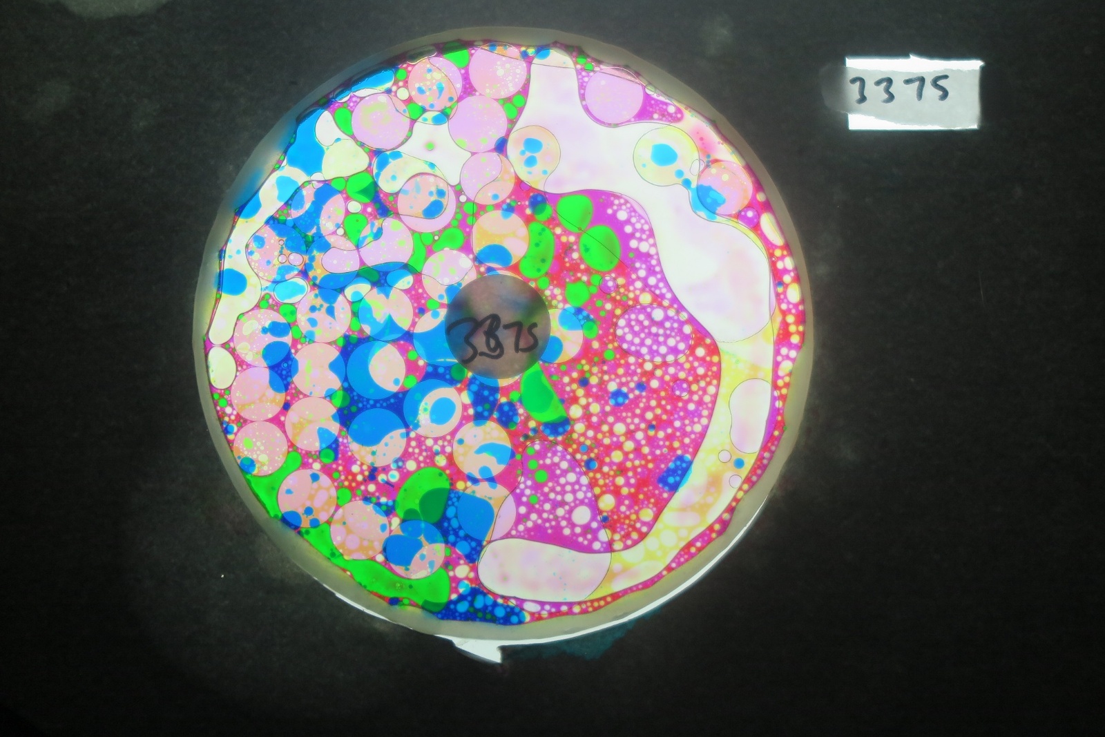 BV3375 bubble vision oil wheel